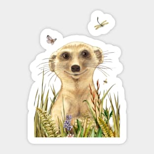 Suricate Sticker